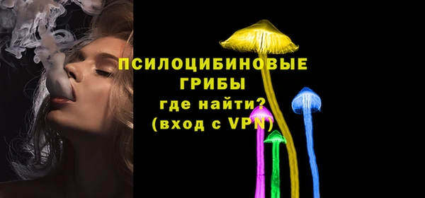 spice Вязники