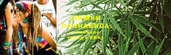 мяу мяу мука Вяземский