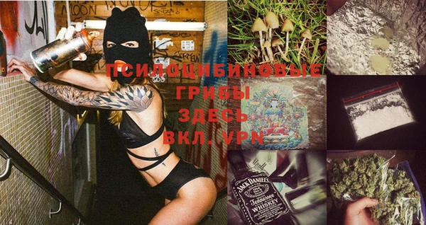 мяу мяу мука Вяземский