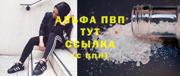spice Вязники