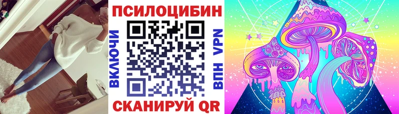 Псилоцибиновые грибы мицелий  Купить  Саяногорск 